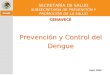 Abril, 2008 SECRETARÍA DE SALUD SUBSECRETARÍA DE PREVENCIÓN Y PROMOCIÓN DE LA SALUD Prevención y Control del Dengue CENAVECE