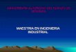 UNIVERSIDAD AUTÓNOMA DEL ESTADO DE MORELOS MAESTRIA EN INGENIERIA INDUSTRIAL
