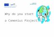 Why do you start a Comenius Project? COMENIUS PARTNERSHIPS
