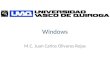Windows M.C. Juan Carlos Olivares Rojas. Temario 6.1 Definición y conceptos básicos 6.2 Fundamentos 6.2.1 El escritorio 6.2.2 Las ventanas 6.2.3 Los iconos