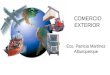 COMERCIO EXTERIOR Eco. Patricia Martínez Alburquerque