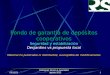 17/04/2015 Rodríguez Silvero & Asociados agosto 20121 Fondo de garantía de depósitos cooperativos Seguridad y estabilización Desjardins vs propuesta local