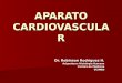 APARATO CARDIOVASCULAR Dr. Robinson Rodríguez H. Asignatura: Histología Humana Carrera de Medicina UCIMED
