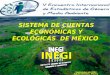 SISTEMA DE CUENTAS ECONÓMICAS Y ECOLÓGICAS DE MÉXICO INEGI Septiembre de 2004 Aguascalientes, México