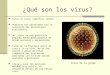 ¿Qué son los virus? Virus en latín significa veneno Pudieron ser observados con la invención del microscopio electrónico. Un virus es una partícula pequeña