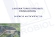 LABORATORIOS PROBIOL PRODUCCIÓN SUEROS ANTIOFÍDICOS