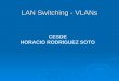 LAN Switching - VLANs CESDE HORACIO RODRIGUEZ SOTO