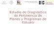 Estudio de Diagnóstico de Pertinencia de Planes y Programas de Estudio