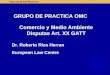 Comercio y Medio Ambiente Disputas Art. XX GATT Dr. Roberto Rios Herran European Law Centre GRUPO DE PRACTICA OMC