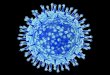 GRIPE A H1N1 ¿Qué debo hacer para prevenir la Gripe? GRIPE A H1N1