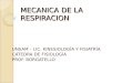 MECANICA DE LA RESPIRACION UNSAM – LIC. KINESIOLOGÍA Y FISIATRÍA CÁTEDRA DE FISIOLOGÍA PROF. BORGATELLO
