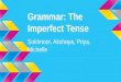 Grammar: The Imperfect Tense Sukhnoor, Akshaya, Priya, Michelle