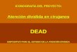 ICONOGRAFÍA DEL PROYECTO: Atención dividida en cirujanos DEAD DISPOSITIVO PARA EL ESTUDIO DE LA ATENCIÓN DIVIDIDA