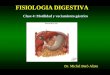 FISIOLOGIA DIGESTIVA Clase 4: Motilidad y vaciamiento gástrico Dr. Michel Baró Aliste