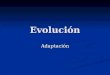 Evolución Adaptación. Selección natural ¿La única explicación para la adaptación? ¿La única explicación para la adaptación? Las adaptaciones parecen diseñadas