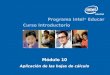 Programa Intel ® Educar Curso Introductorio Módulo 10 Aplicación de las hojas de cálculo