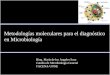 Bioq. María de los Angeles Sosa Catedra de Microbiología General FACENA-UNNE Metodologías moleculares para el diagnóstico en Microbiología