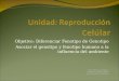 Objetivo: Diferenciar Fenotipo de Genotipo Asociar el genotipo y fenotipo humano a la influencia del ambiente Profesor José De La Cruz Martínez Departamento