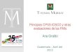 Page 1 Principios CPSS-IOSCO y otras evaluaciones de las FMIs Ana Giraldo Guatemala - Abril del 2013