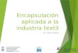 Encapsulación aplicada a la industria textil Dr. César Rubio