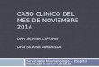 CASO CLINICO DEL MES DE NOVIEMBRE 2014 DRA SILVINA CIPRIANI DRA SILVINA AMARILLA Servicio de Neumonología – Hospital Municipal Infantil- Córdoba