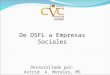 De OSFL a Empresas Sociales Desarrollado por: Astrid A. Morales, MS Consultora en Desarrollo Organizacional