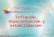 Braun, Llach: Macroeconomía argentina 1 Capítulo XV: Inflación, hiperinflación y estabilización