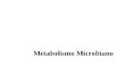 Metabolismo Microbiano. Tipos Metabólicos Compuestos a metabolizar Diversidad