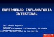 1 ENFERMEDAD INFLAMATORIA INTESTINAL Dra. Maria Eugenia Linares Sección Enfermedad Inflamatoria, División Gastroenterología Hospital de Clínicas José de
