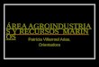 ÁREA AGROINDUSTRIAS Y RECURSOS MARINOS Patricia Villarroel Arias. Orientadora