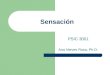 Sensación PSIC 3001 Ana Nieves Rosa, Ph.D.. Ejercicio de Avalúo Define Describe 1. estímulo. Teorías acerca del sentido 2. sensación 3. percepción 4