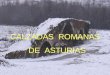 CALZADAS ROMANAS DE ASTURIAS Asturias sufrió un importante proceso romanizador, numerosos restos arqueológicos lo verifican, pero además sufrió una importante