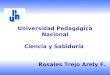 Universidad Pedagógica Nacional Ciencia y Sabiduría Rosales Trejo Arely F