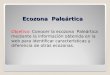Ecozona Paleártica Objetivo: Conocer la ecozona Paleártica mediante la información obtenida en la web para identificar características y diferencia de