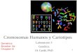1 Cromosomas Humanos y Cariotipos Genetics Brooker 4e Chapter 8 Laboratorio 3 Genética JA Cardé, PhD