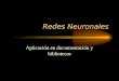 Redes Neuronales Aplicación en documentación y bibliotecas