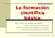 La formación científica básica Mtro. Ricardo Valdez González Dirección de Ciencias Naturales Dirección General de Desarrollo Curricular Subsecretaría de