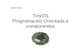 TinyOS Programación Orientada a componentes SISEM 2009