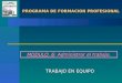 PROGRAMA DE FORMACION PROFESIONAL PROGRAMA DE FORMACION PROFESIONAL MODULO 6: Administrar el trabajo. TRABAJO EN EQUIPO