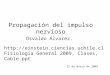Propagación del impulso nervioso 12 de marzo de 2009 Osvaldo Álvarez.  Fisiologia General 2009, Clases, Cable.ppt
