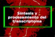 Síntesis y procesamiento del transcriptoma. CARACTERISTICAS DEL TRANSCRIPTOMA ProcariotesEucariotes 0.05-0.1 pg por célula (6%)20-30 pg por célula (1%)