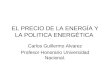 EL PRECIO DE LA ENERGÍA Y LA POLITICA ENERGÉTICA Carlos Guillermo Alvarez Profesor Honorario Universidad Nacional
