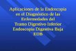 Aplicaciones de la Endoscopia en el Diagnóstico de las Enfermedades del Tramo Digestivo Inferior Endoscopia Digestiva Baja EDB