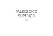 PALEOZOICO SUPERIOR CAP V. introducción Material discordante sobre el silúrico Discordante bajo el triásico Devónico carbonífero y pérmico Regiones tipo