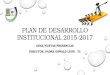 PLAN DE DESARROLLO INSTITUCIONAL 2015-2017 OPAN/NUEVAS PRESENCIAS DIRECTOR: PADRE OSWALD LEON. TC