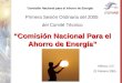 Comisión Nacional para el Ahorro de Energía México, D.F. 23 Febrero 2005 Primera Sesión Ordinaria del 2005 del Comité Técnico “Comisión Nacional Para el