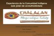 Experiencia de la Comunidad Indígena SAN JOSÉ DE UCHUPIAMONAS Presentado por : Lic. Alex Villca Limaco Consultor en Ecoturismo y Turismo Comunitario Turismo