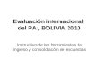 Evaluación internacional del PAI, BOLIVIA 2010 Instructivo de las herramientas de ingreso y consolidación de encuestas