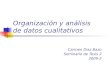 Organización y análisis de datos cualitativos Carmen Diaz Bazo Seminario de Tesis 2 2009-2