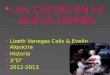 LAS CASTAS EN LA NUEVA ESPAÑA  Lizeth Vanegas Celis & Evelin Alquicira  Historia  3”D”  2012-2013